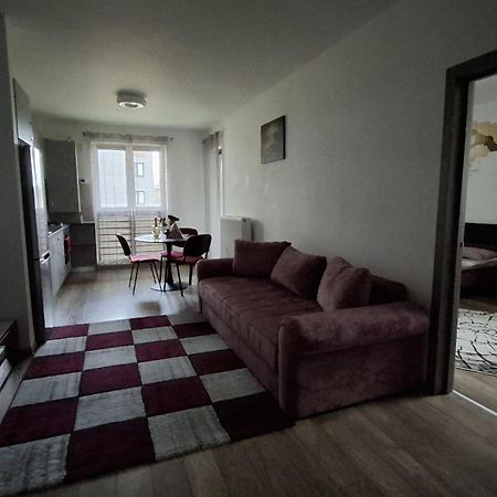 Ludi House Apartment Тыргу-Муреш Экстерьер фото